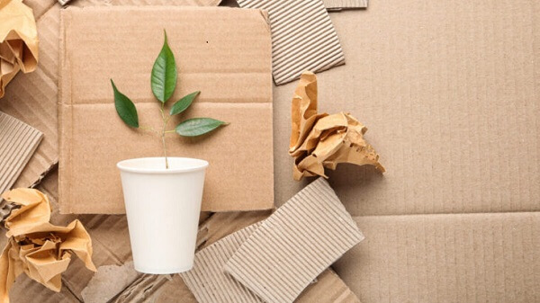 Leia mais sobre o artigo As embalagens de papel contribuem para manter as florestas saudáveis
